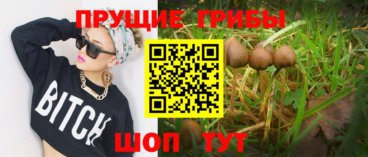 Галлюциногенные грибы ЛСД Калининград